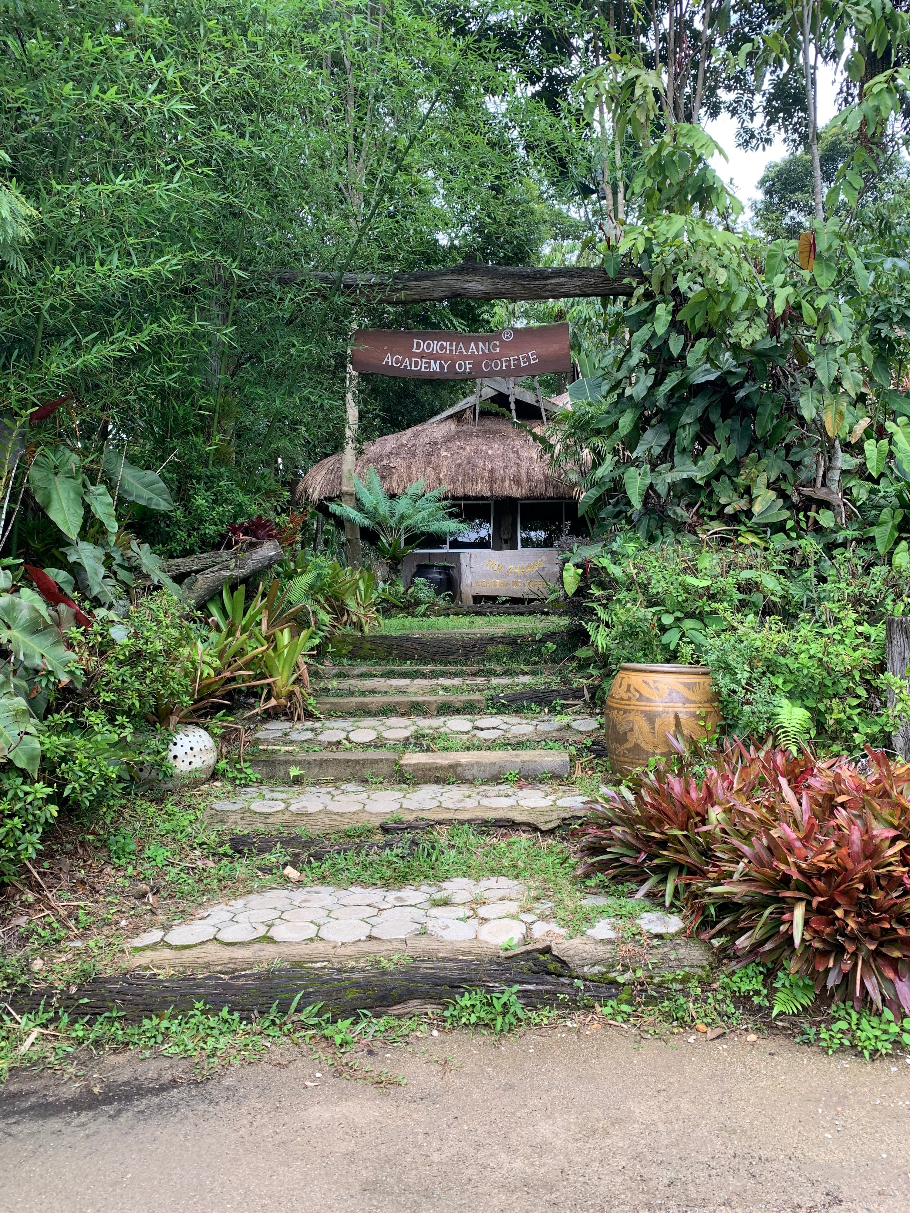 Thailandia: la nuova frontiera dello specialty coffee